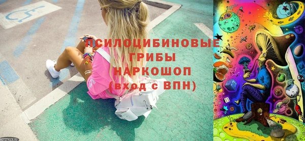 ПСИЛОЦИБИНОВЫЕ ГРИБЫ Абаза