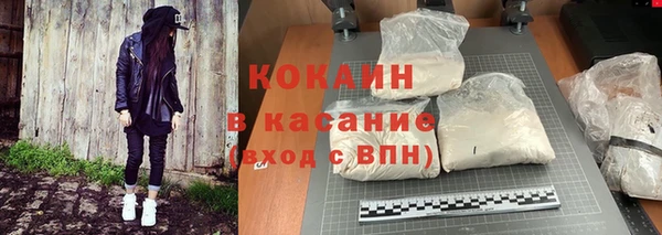ПСИЛОЦИБИНОВЫЕ ГРИБЫ Абаза