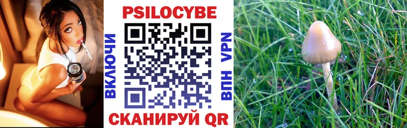 Псилоцибиновые грибы MAGIC MUSHROOMS  ссылка на мегу   Энгельс 