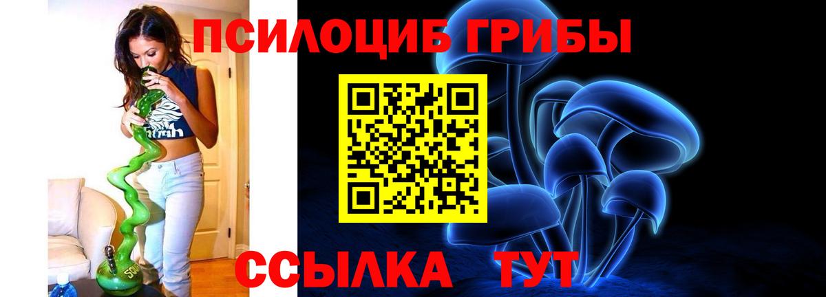 Энгельс  Псилоцибиновые грибы ЛСД  Вход с VPN  Галлюциногенные грибы мухоморы 